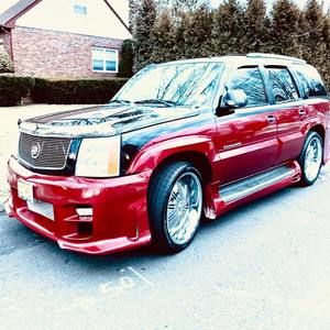 Meet your Posher, Morro